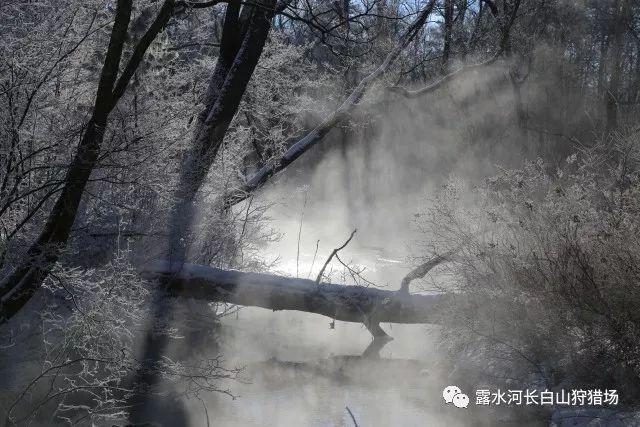 黑龙江省委党校在职研究生录取率游戏画面